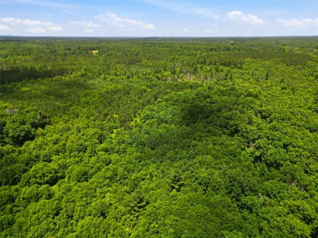 Neillsville Land Real Estate