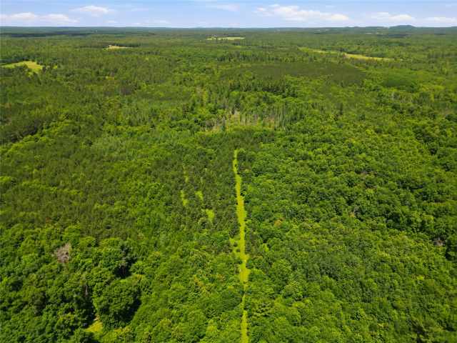 Neillsville Land Real Estate