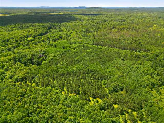Neillsville Land Real Estate