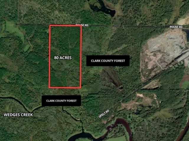 Neillsville Land Real Estate