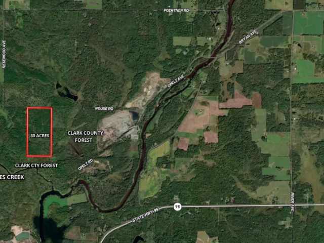 Neillsville Land Real Estate