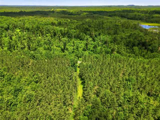 Neillsville Land Real Estate