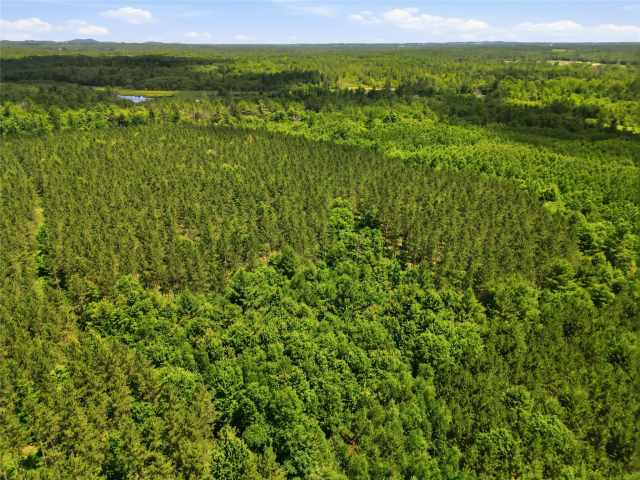 Neillsville Land Real Estate