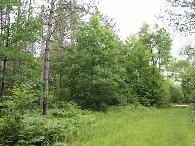 Neillsville Land Real Estate