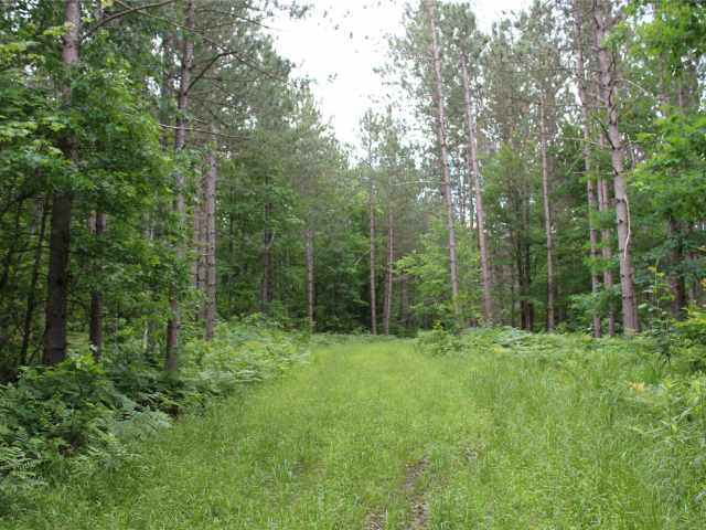Neillsville Land Real Estate