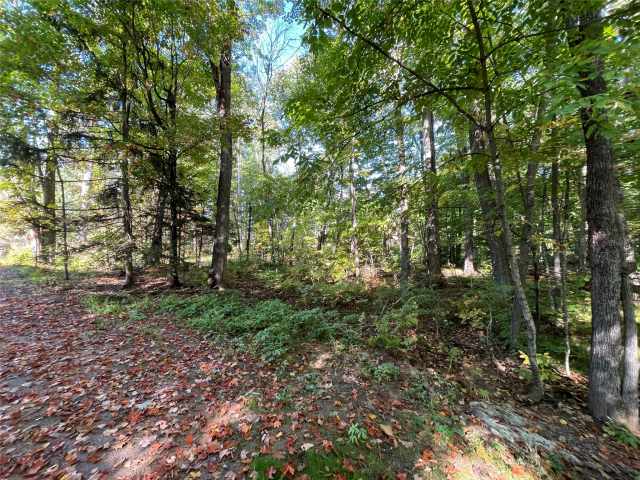 Stone Lake Land Real Estate