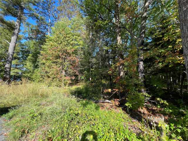 Stone Lake Land Real Estate