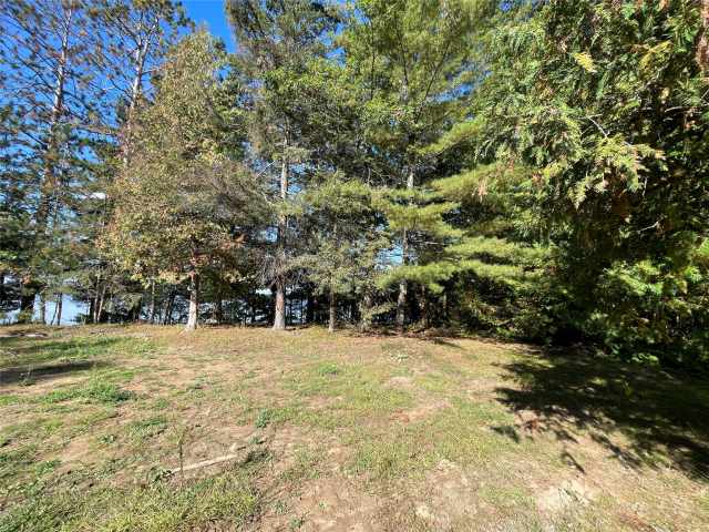 Stone Lake Land Real Estate