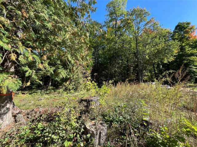 Stone Lake Land Real Estate