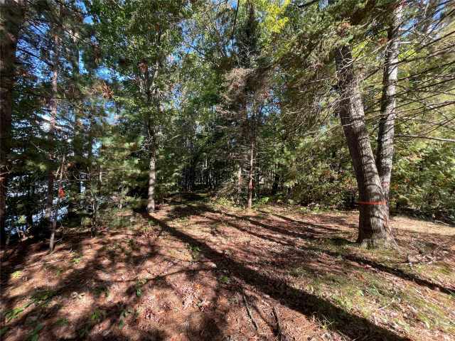 Stone Lake Land Real Estate