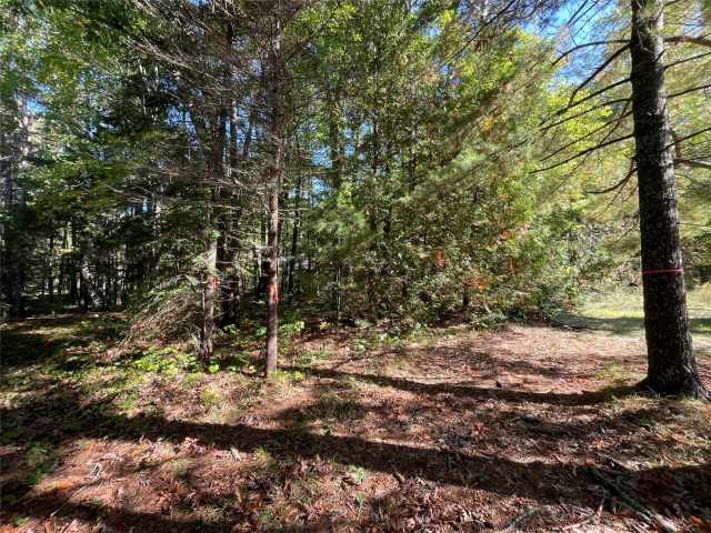 Stone Lake Land Real Estate