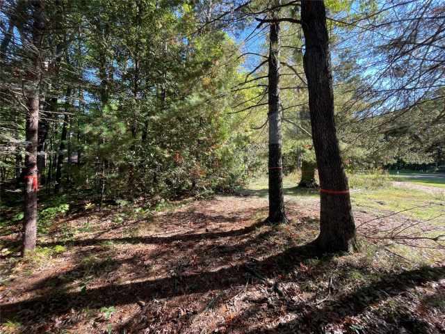 Stone Lake Land Real Estate