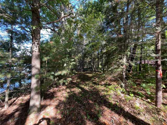 Stone Lake Land Real Estate
