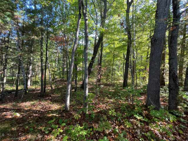 Stone Lake Land Real Estate