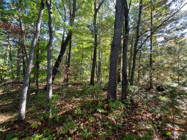 Stone Lake Land Real Estate