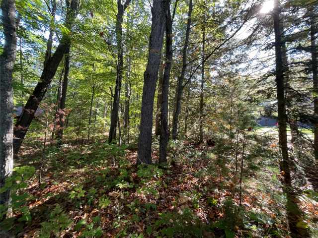 Stone Lake Land Real Estate