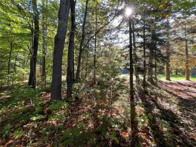 Stone Lake Land Real Estate