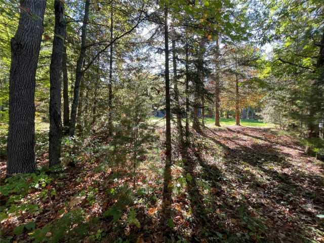 Stone Lake Land Real Estate