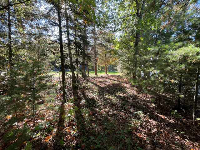 Stone Lake Land Real Estate