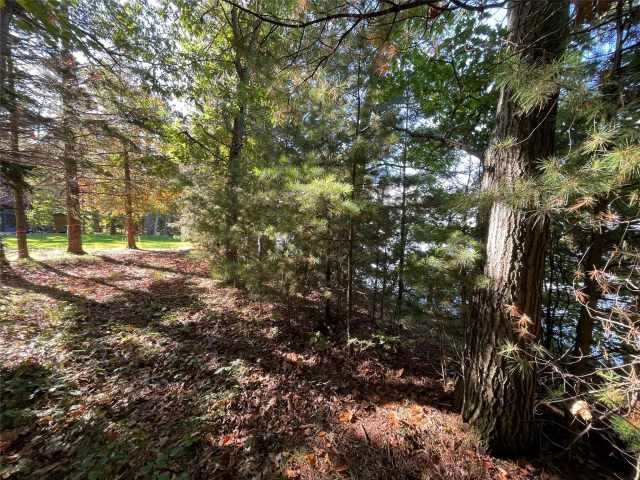 Stone Lake Land Real Estate