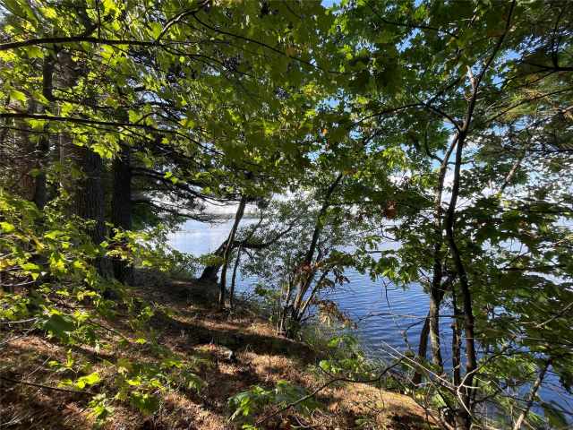 Stone Lake Land Real Estate