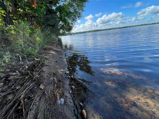 Stone Lake Land Real Estate