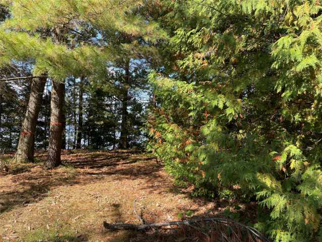 Stone Lake Land Real Estate