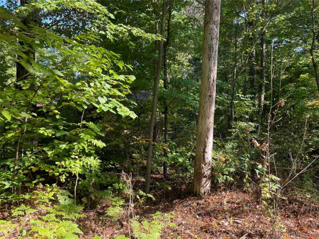 Stone Lake Land Real Estate