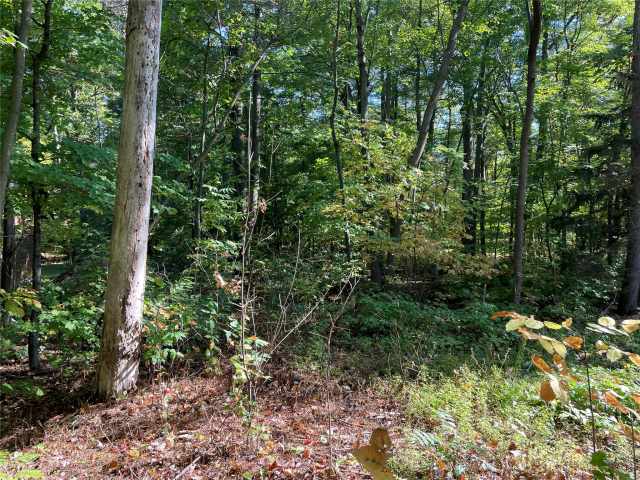 Stone Lake Land Real Estate