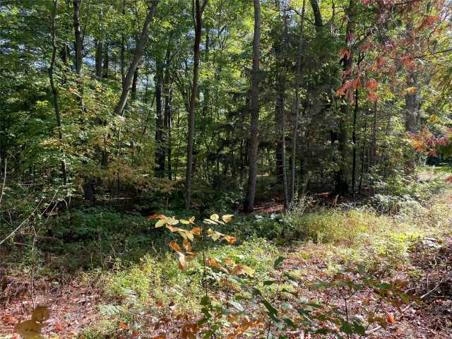 Stone Lake Land Real Estate