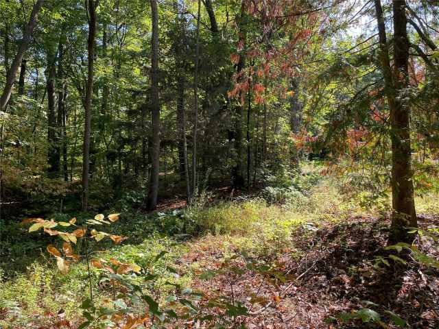 Stone Lake Land Real Estate