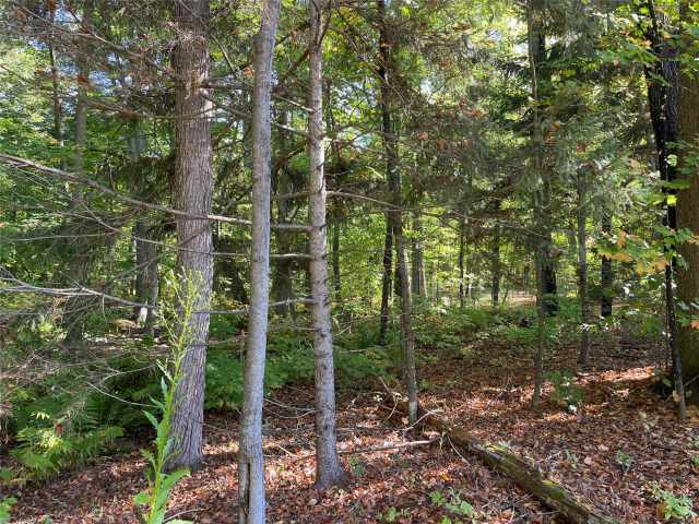 Stone Lake Land Real Estate