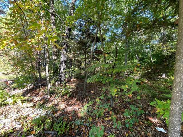Stone Lake Land Real Estate
