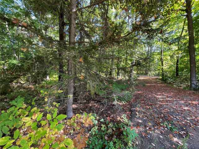 Stone Lake Land Real Estate