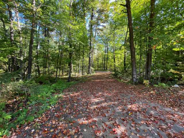Stone Lake Land Real Estate