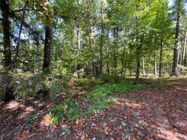 Stone Lake Land Real Estate