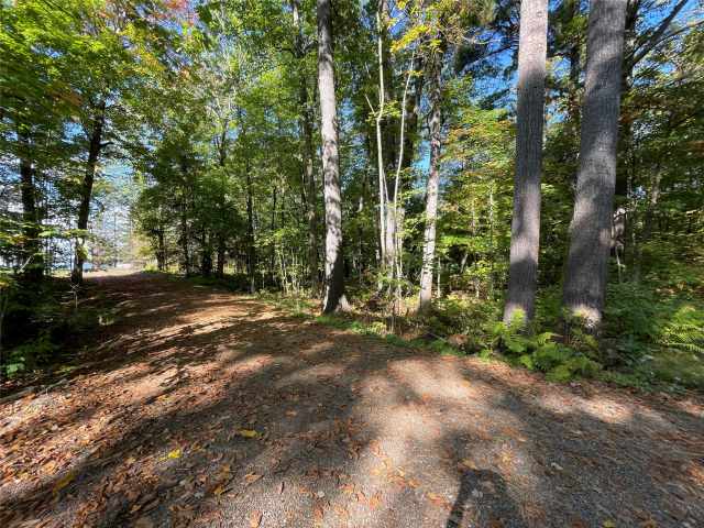 Stone Lake Land Real Estate