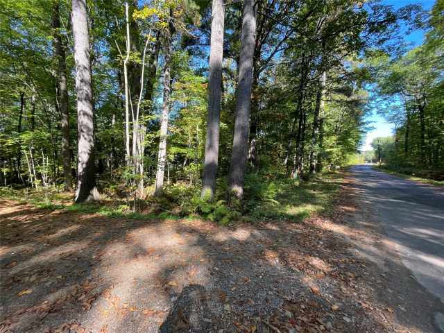 Stone Lake Land Real Estate