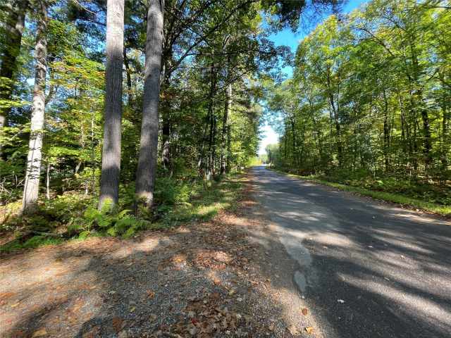 Stone Lake Land Real Estate
