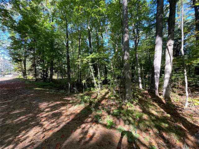 Stone Lake Land Real Estate