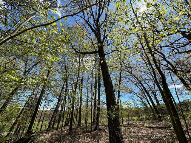 Eau Claire Land Real Estate