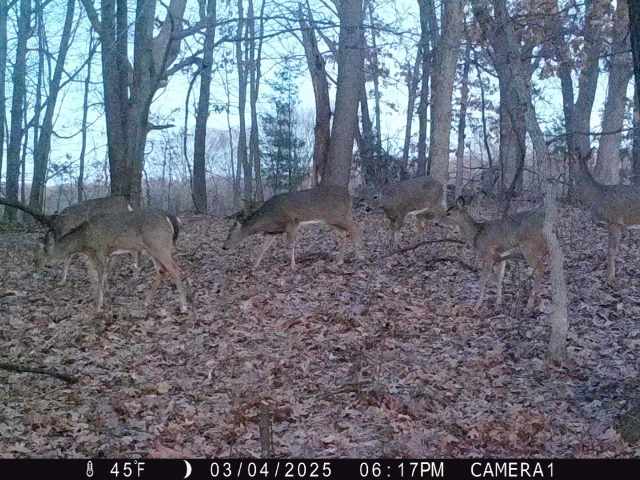 Eau Claire Land Real Estate