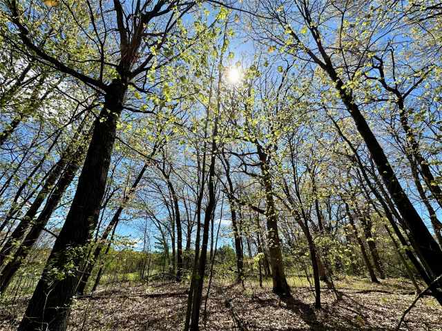 Eau Claire Land Real Estate