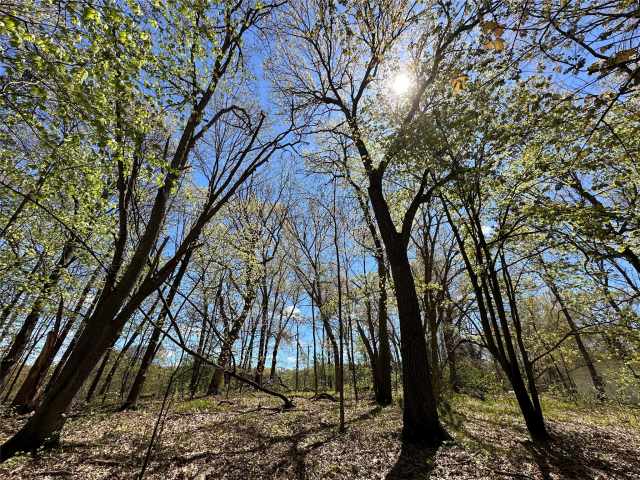 Eau Claire Land Real Estate