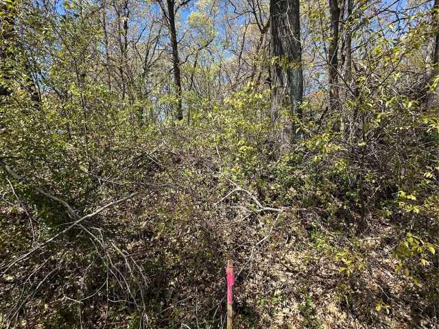 Eau Claire Land Real Estate