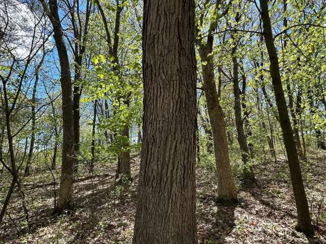 Eau Claire Land Real Estate
