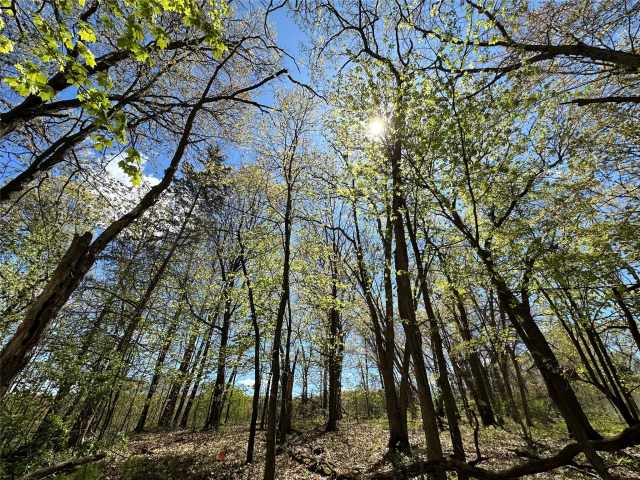 Eau Claire Land Real Estate