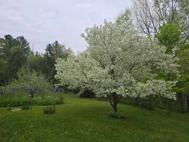 Cumberland Residential Real Estate