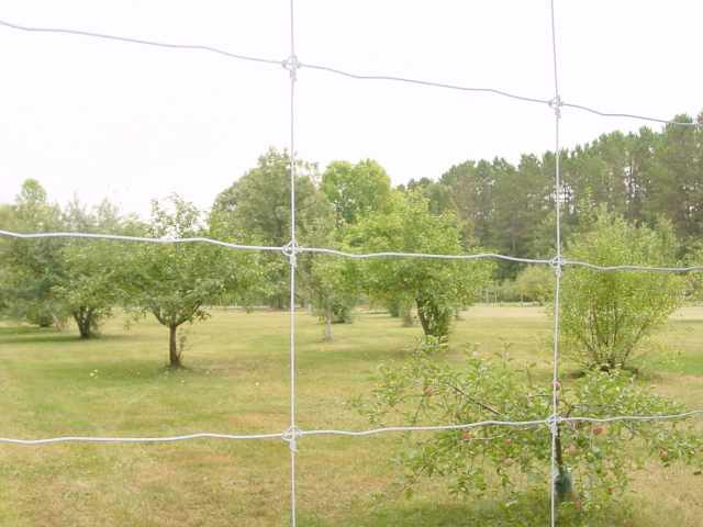 Ingram Residential Real Estate