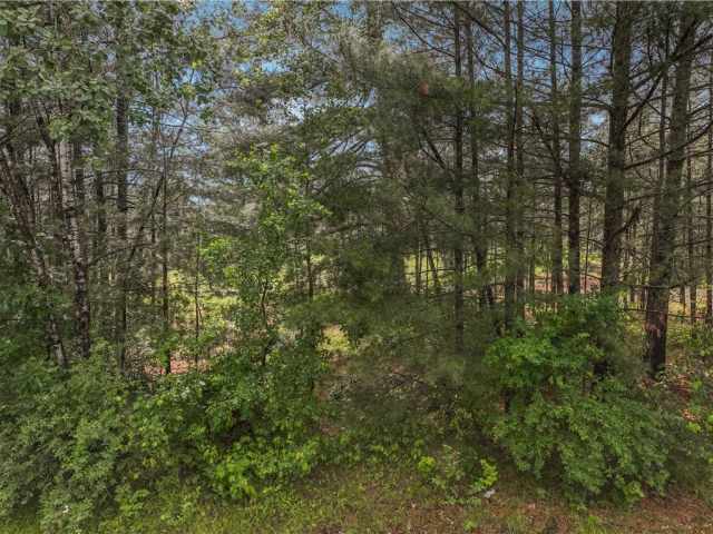 Hayward Land Real Estate